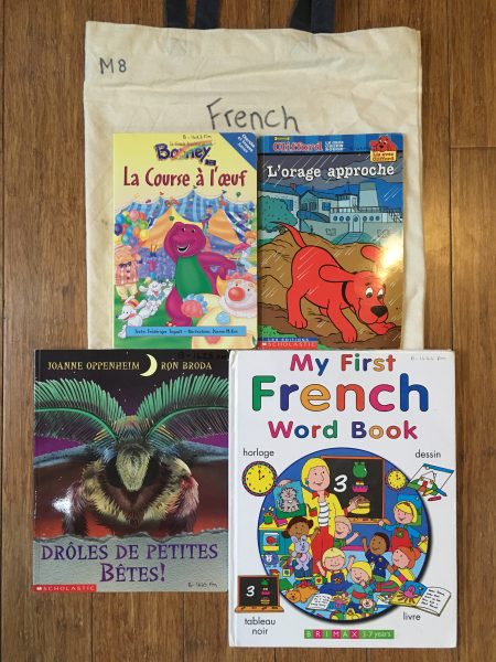 Book Library – Mystery Bag #8 – French