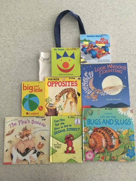 Book Library – Mystery Bag #10 – Opposites